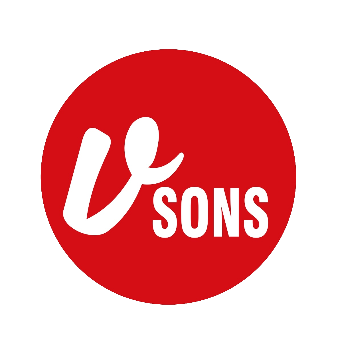 VSons Group